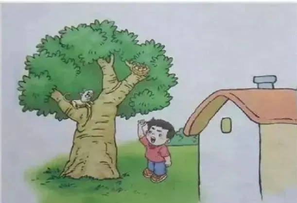 篮球训练教学方法和技巧_1